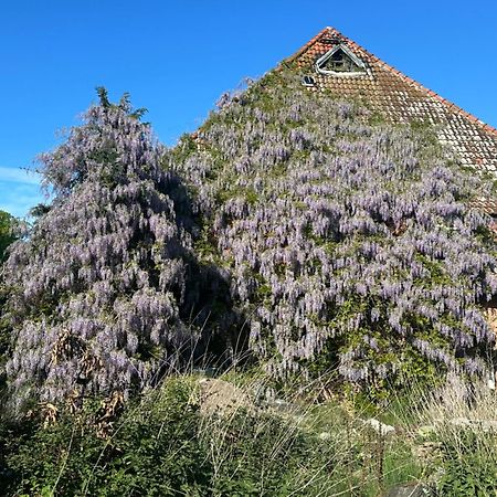Апартаменты Kornmuehle Doppelzimmer Muehlenstein Mellenthin Экстерьер фото
